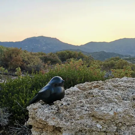 Pleiades Karpathos Town (Pigadia)