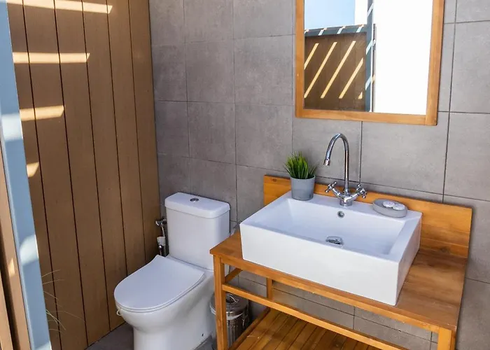 Pleiades * Cárpatos